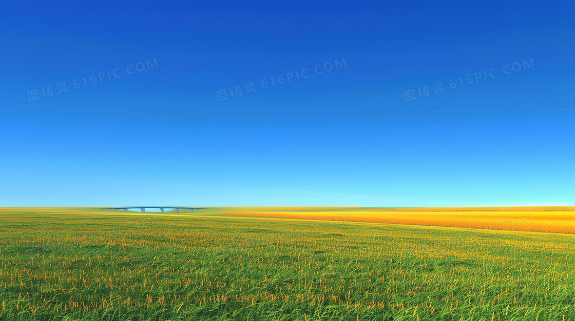 一望无际的田野风景插画