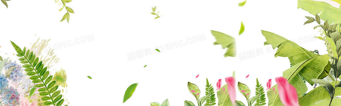 清新花朵背景