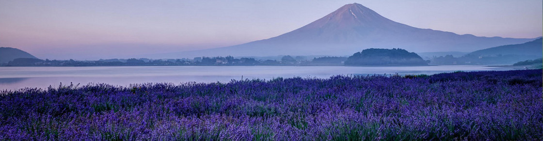 自然风景