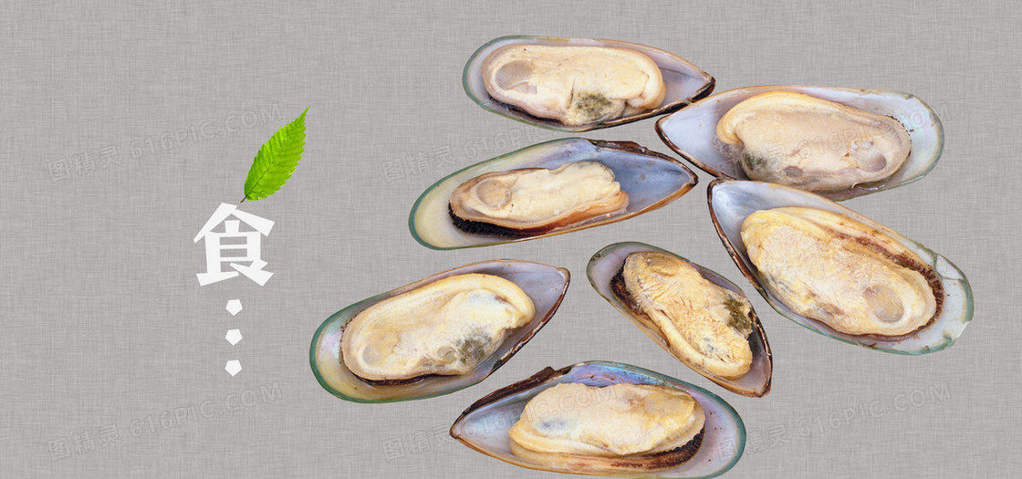 美食海鲜贝壳蛏子食品食物美味淘宝背景