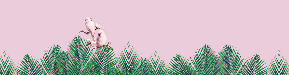 春季服装淘宝背景图