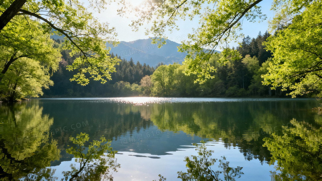 春天美丽的绿树倒映在湖中