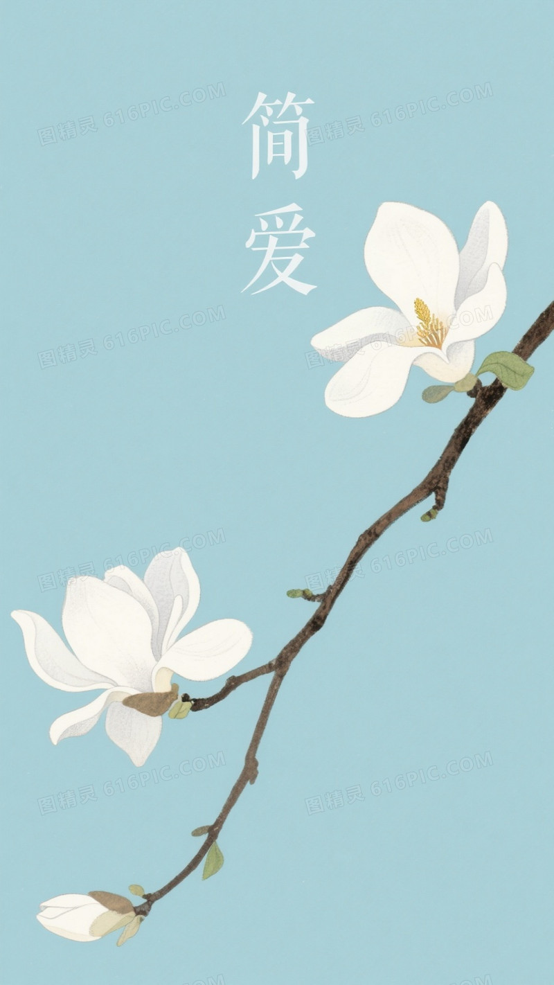 淡青极简手绘白玉兰背景