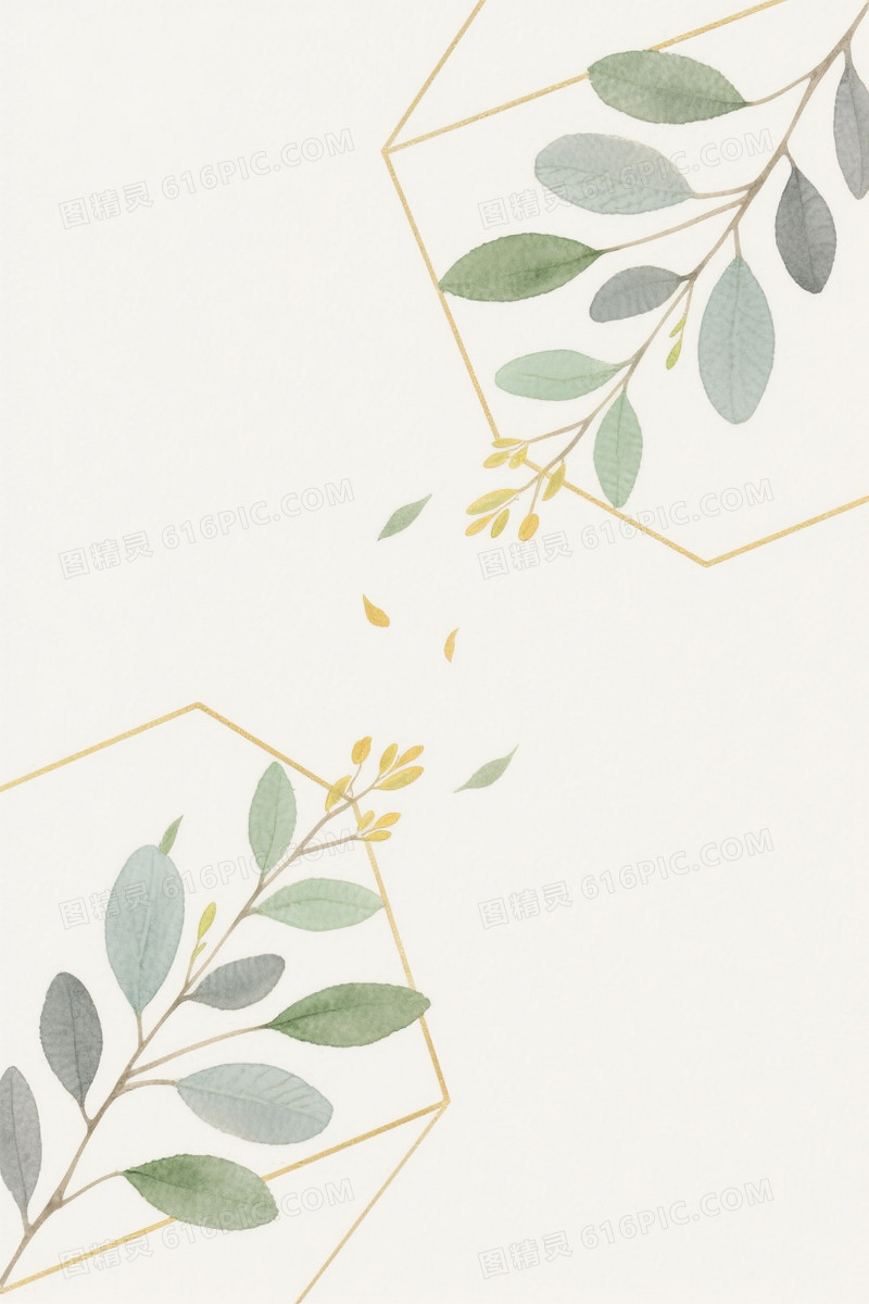 米白水彩绿植几何金线背景