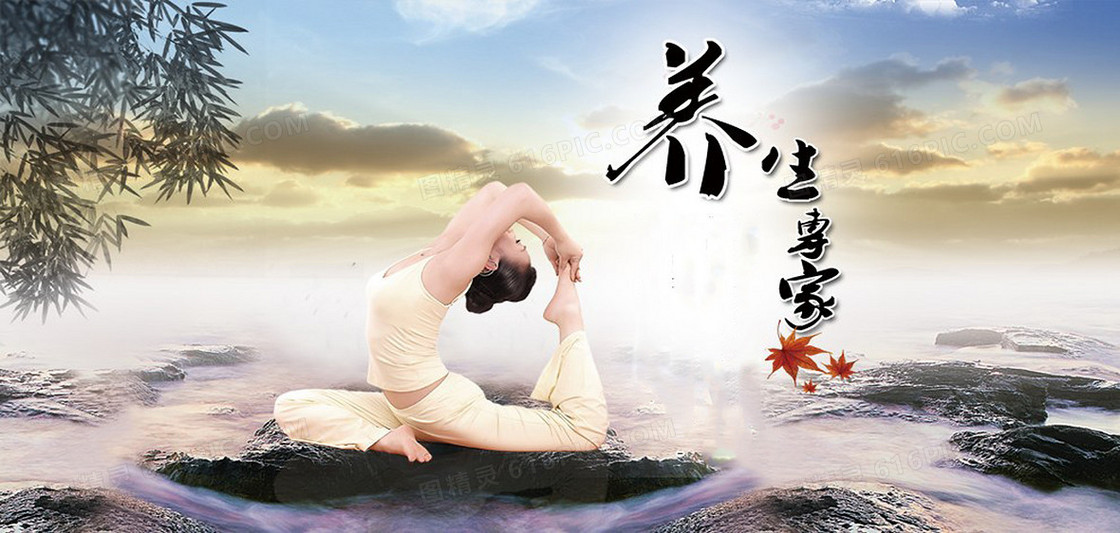 典雅养生海报