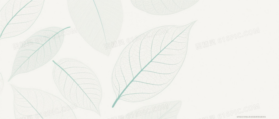 浅米白极简叶脉轮廓背景