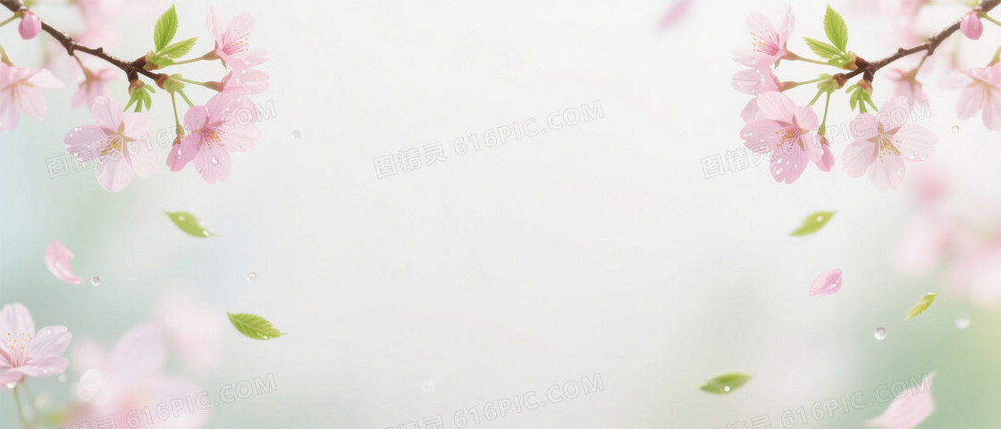 浅粉梦幻樱花飘落背景