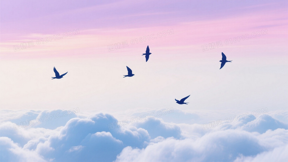 粉紫渐变梦幻云朵飞鸟背景