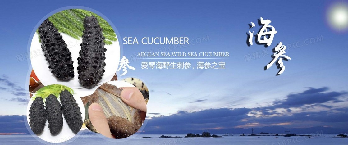 海参banner