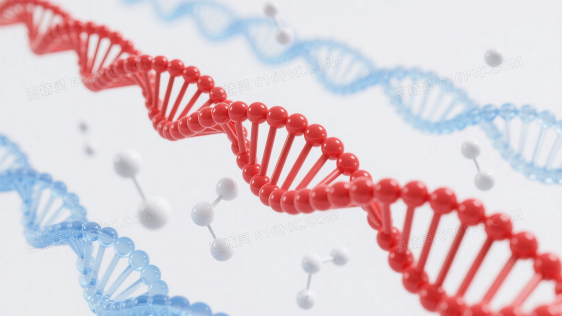 白底红蓝DNA螺旋科技背景