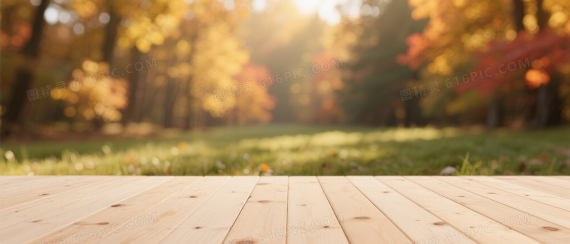 暖棕金红虚化秋林背景