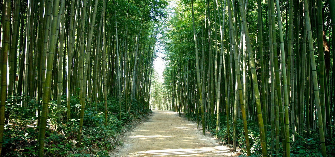 淘宝背景图