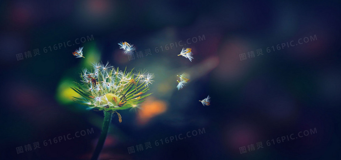 淘宝背景图