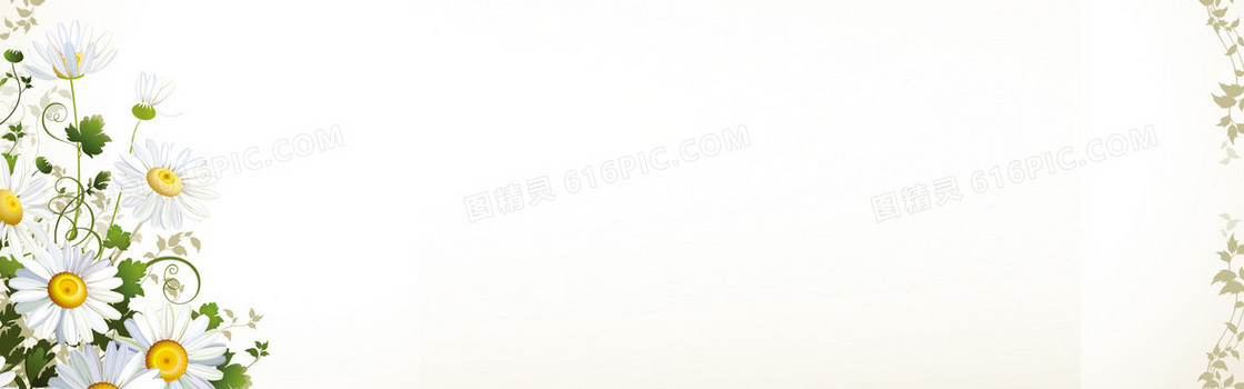 淘宝化妆品护肤品面膜花纹背景banner