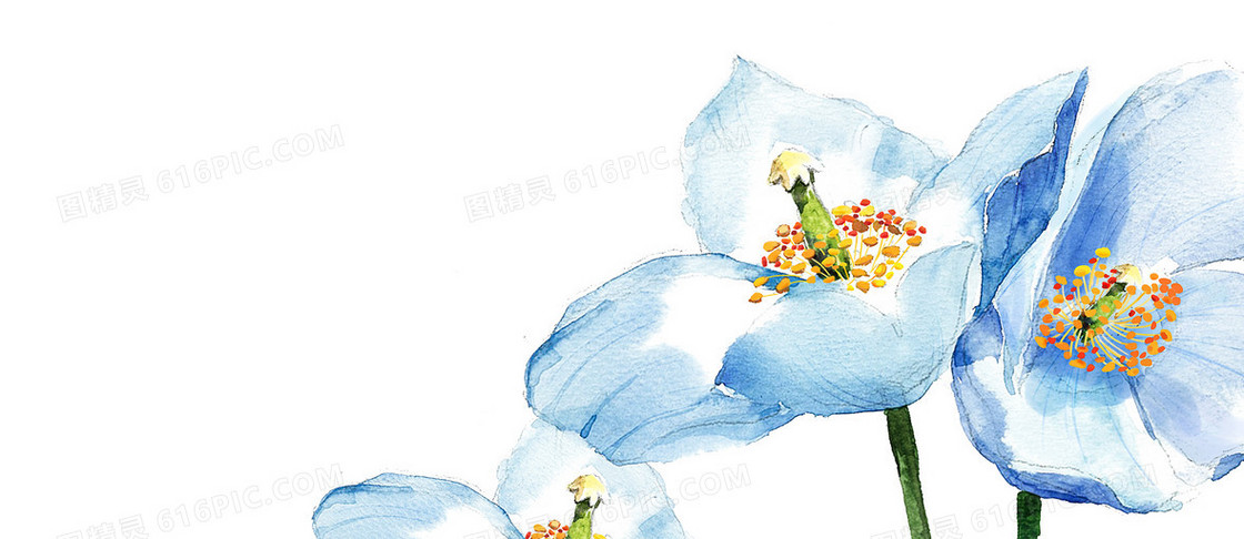 水彩背景