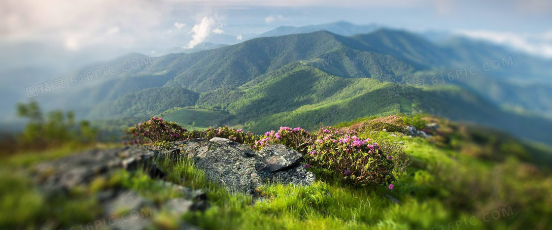 自然绿色远山背景