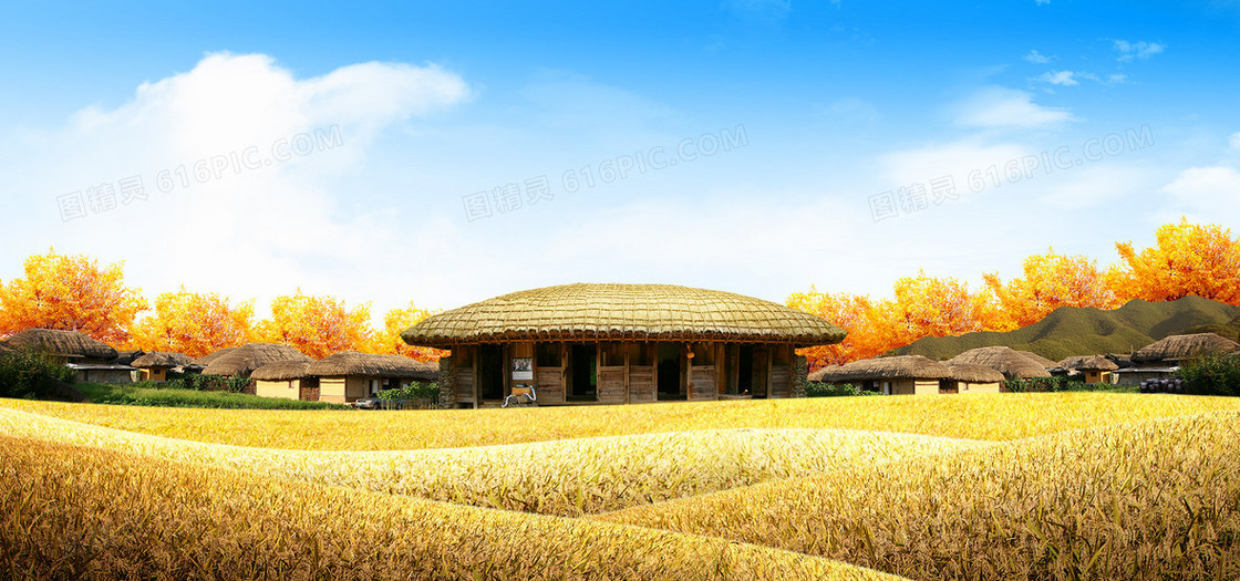   蓝天白云秋季黄色秋日稻田稻谷丰收大自然海报banner