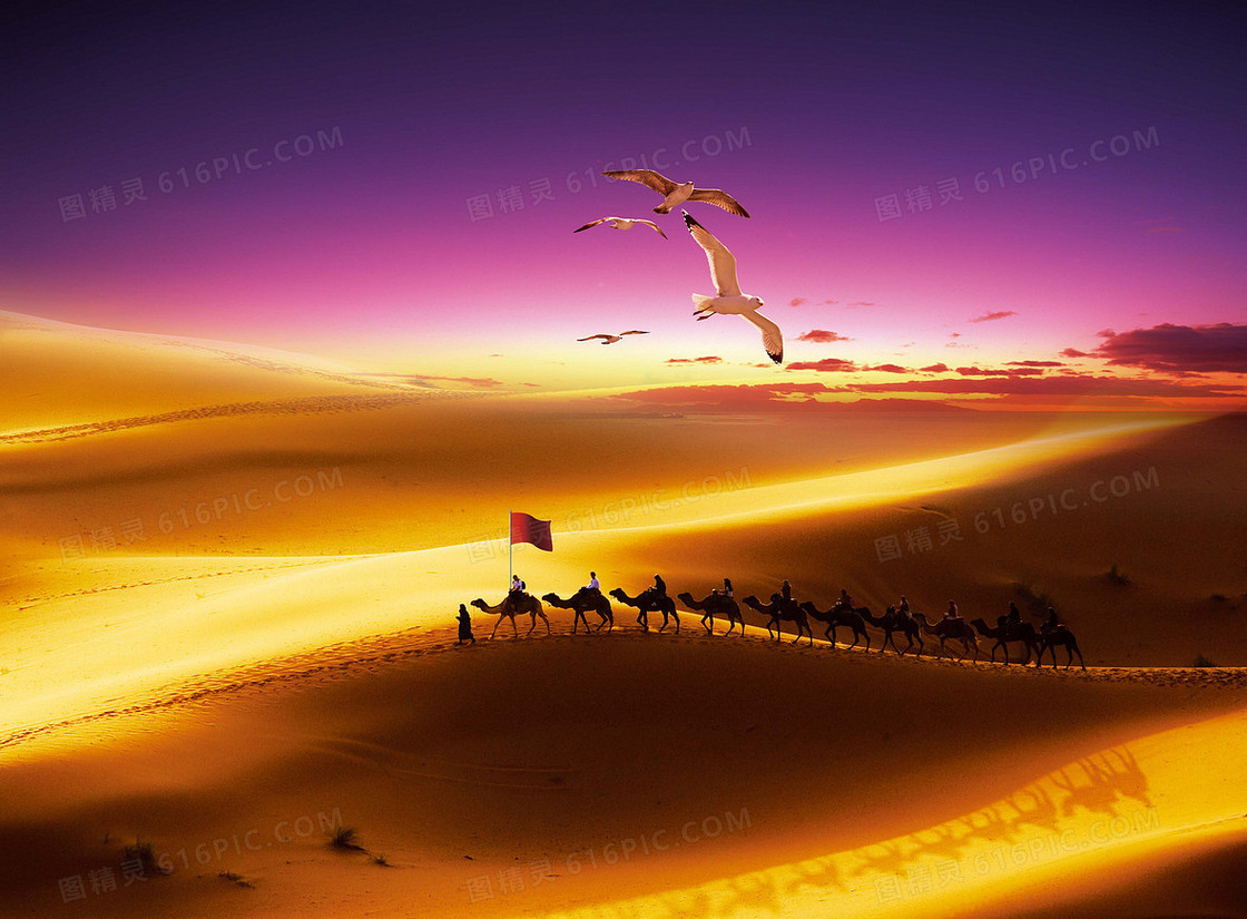 企业文化展板设计发展历程沙漠骆驼队