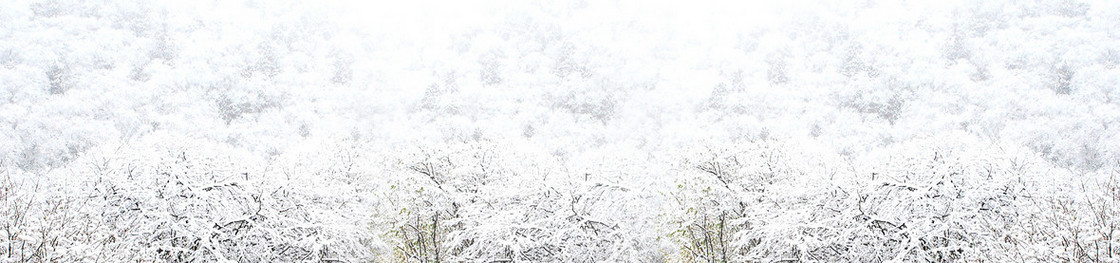 雪景背景图