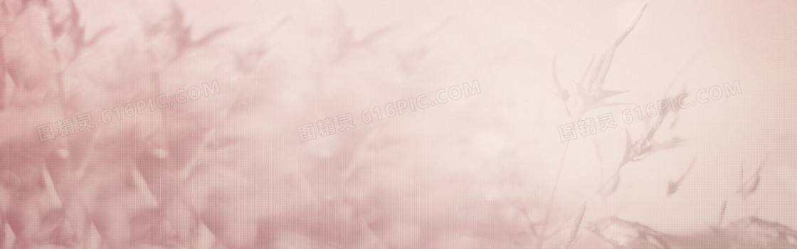 褐色背景 树枝素材 banner