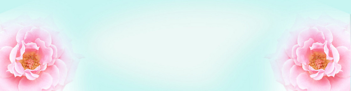 淘宝背景 banner 