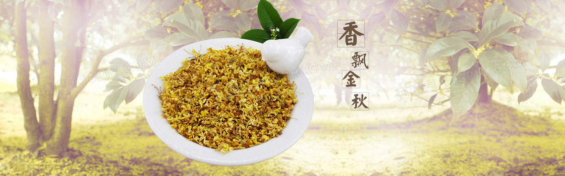 淘宝茶叶花茶清新树林背景banner