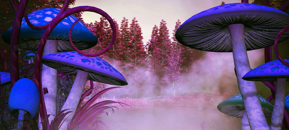梦幻森林蘑菇背景banner
