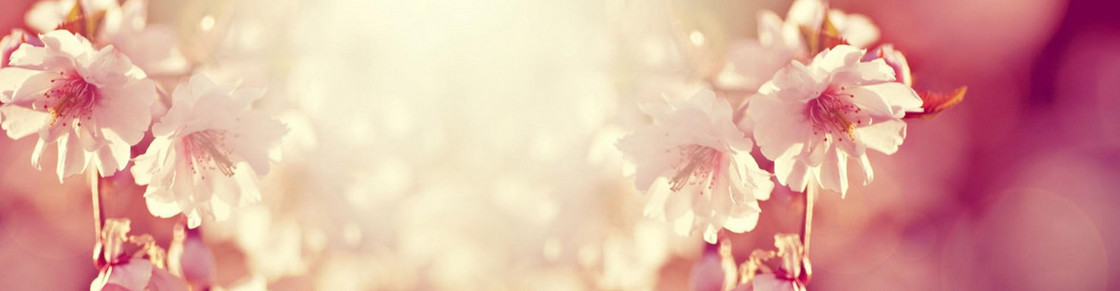 梦幻背景banner