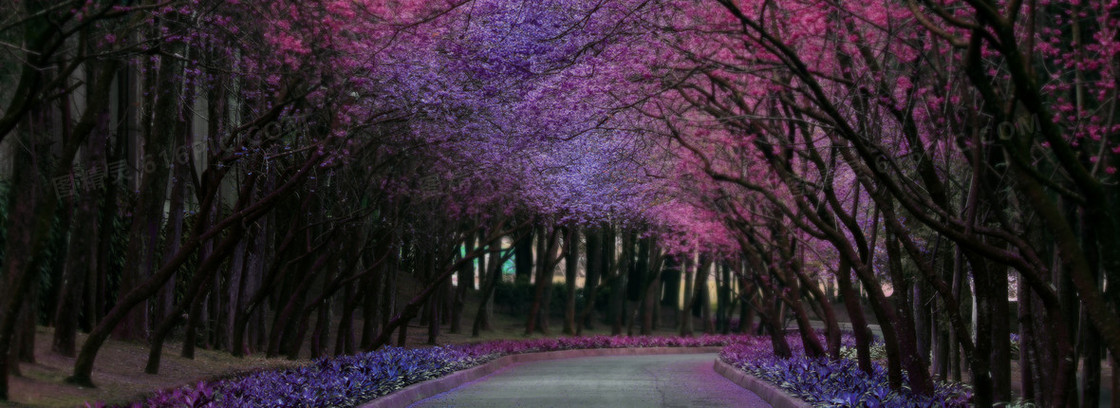 浪漫花瓣背景