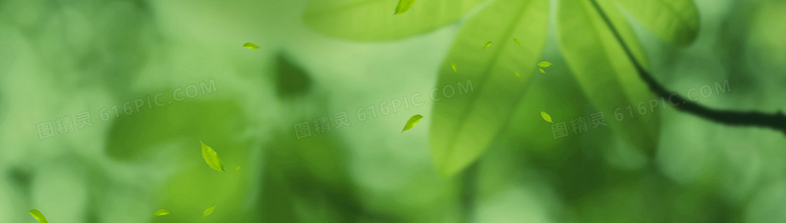 淘宝护肤化妆品背景banner