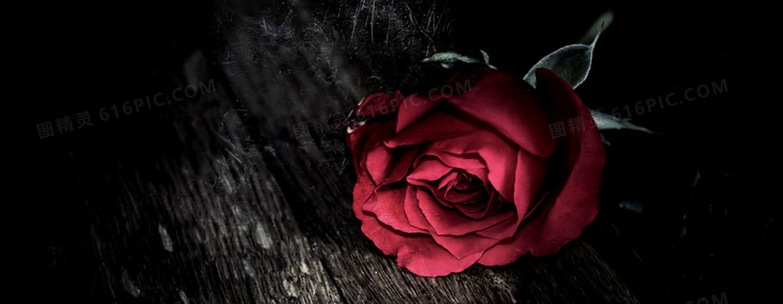 红色玫瑰背景图