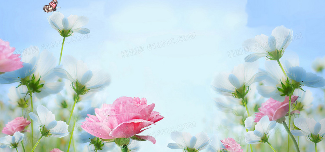 花卉背景图