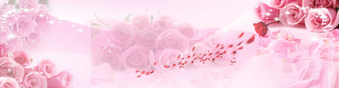 粉色玫瑰花瓣背景