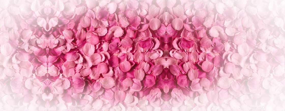 玫瑰花瓣浪漫背景banner