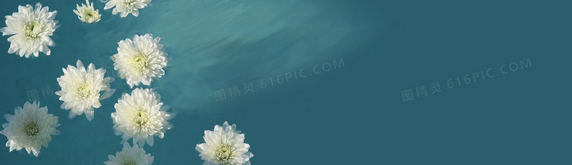 菊花茶banner