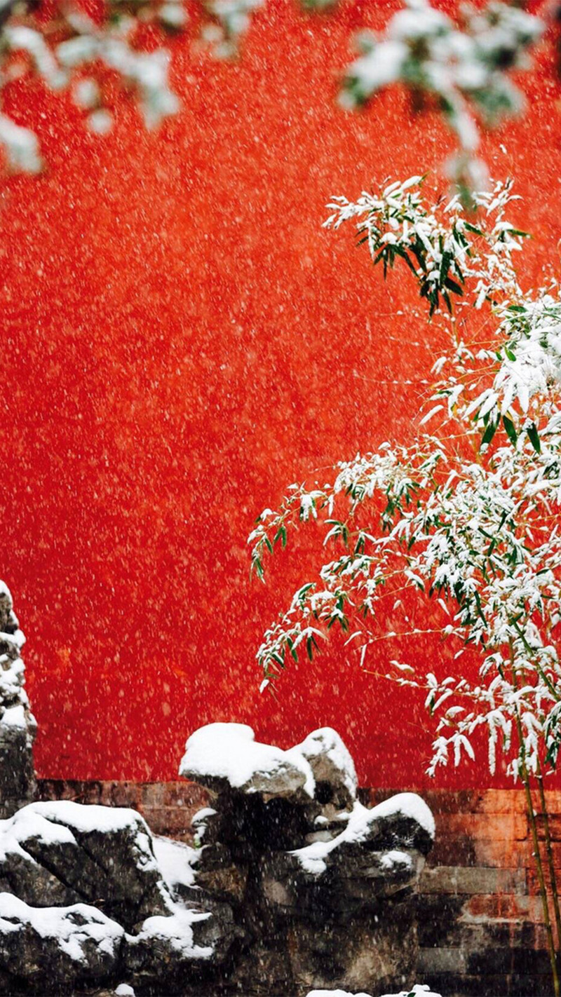 雪景红色简约H5背景