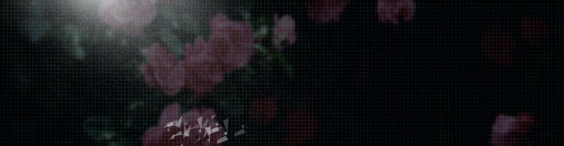黑色 玫瑰 背景 banner 