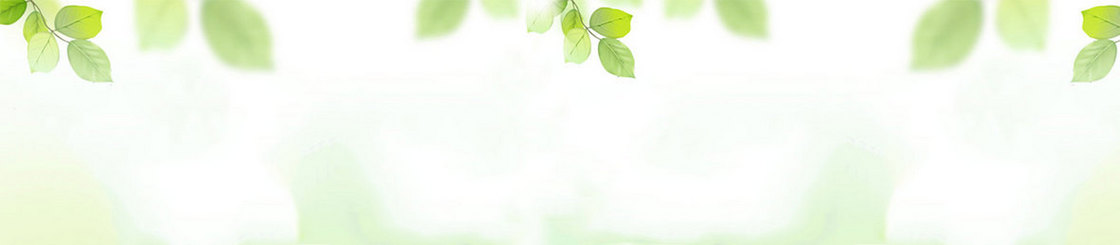 白色清新树叶女鞋背景banner