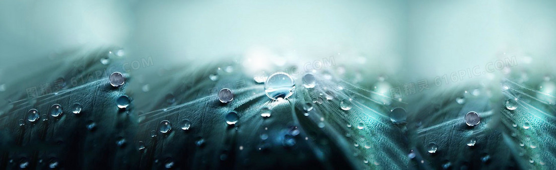 清新梦幻水珠背景banner