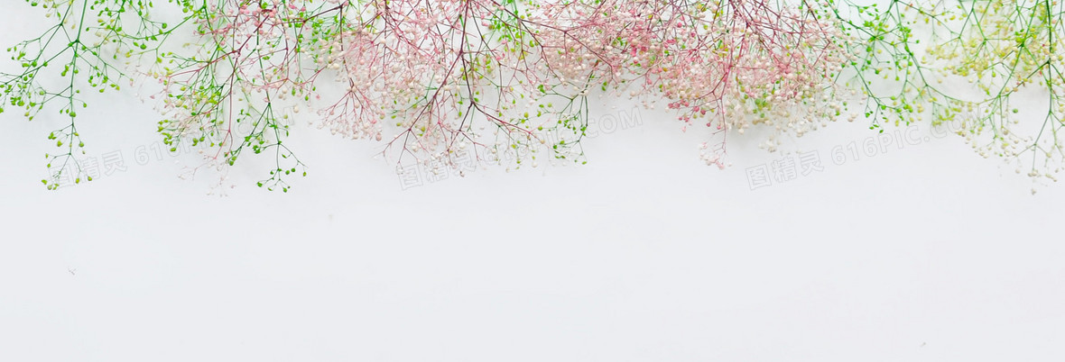 小清新花草背景banner背景图片下载 2640x900像素jpg格式 编号ve7fgq02z 图精灵