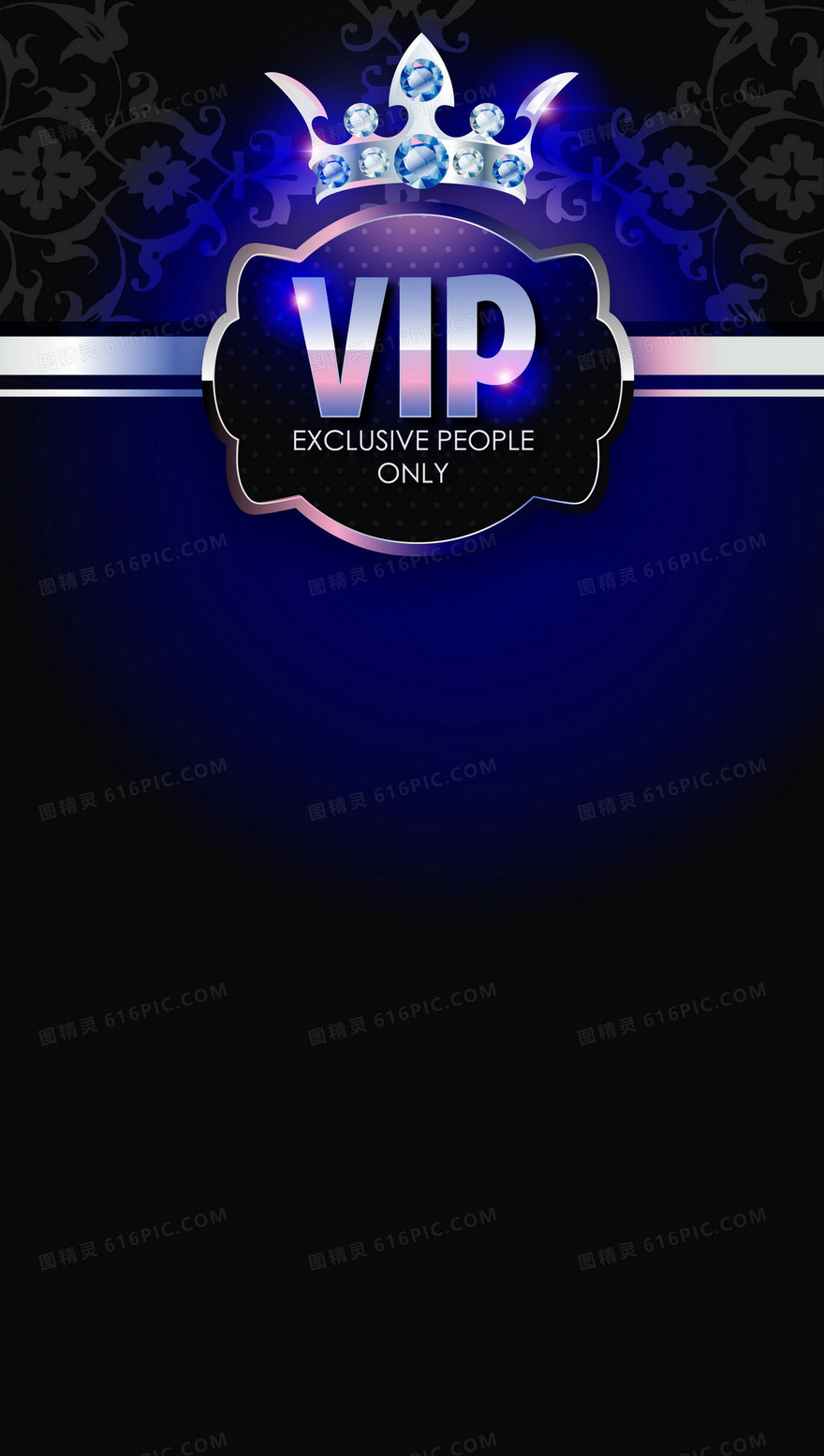 蓝色VIP