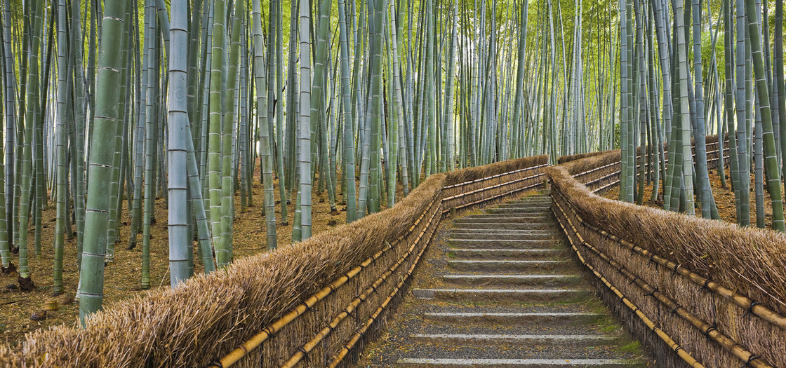 淘宝背景图