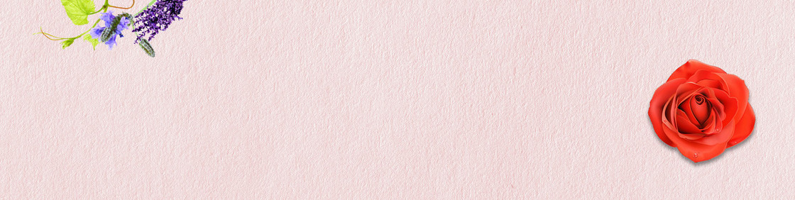 淘宝女装唯美花瓣背景banner