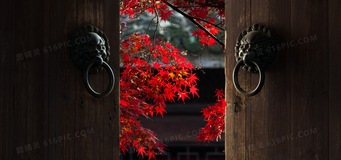 门内枫叶背景图