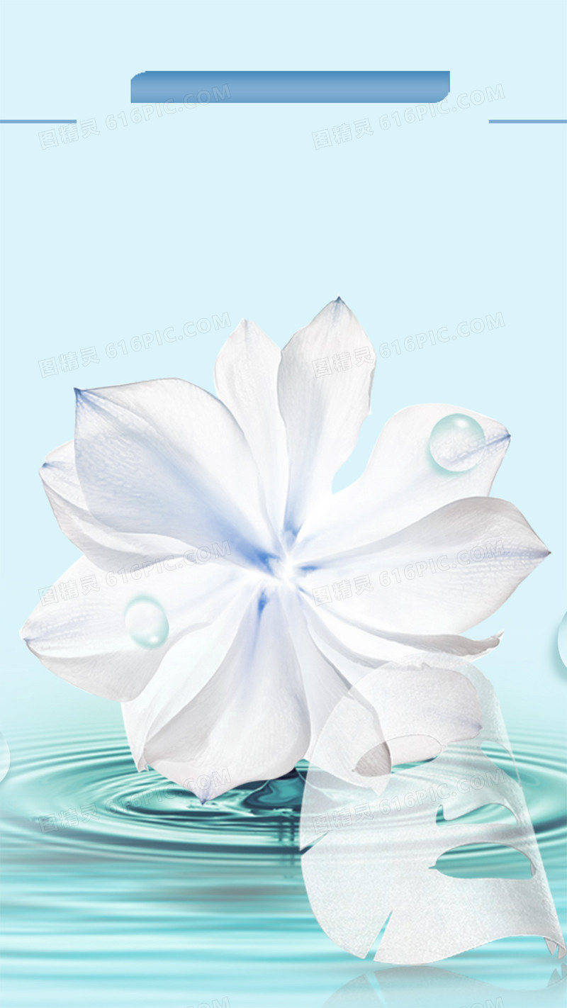 白色花朵梦幻水珠H5背景