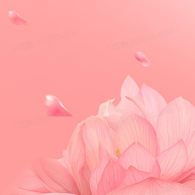 唯美花朵护肤品主题