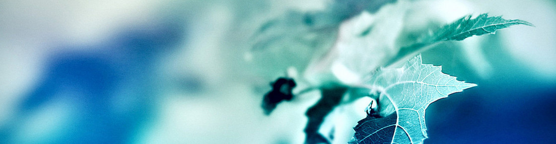简约背景banner