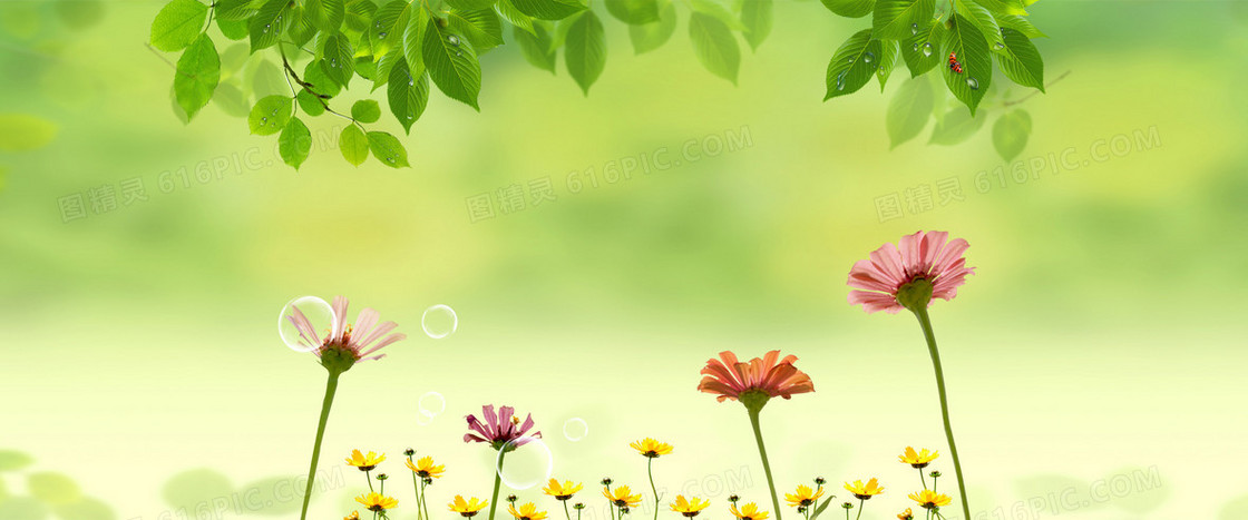 清新淡雅绿叶花草背景