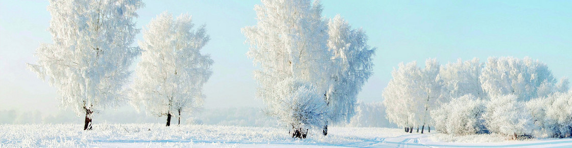 冬天背景banner