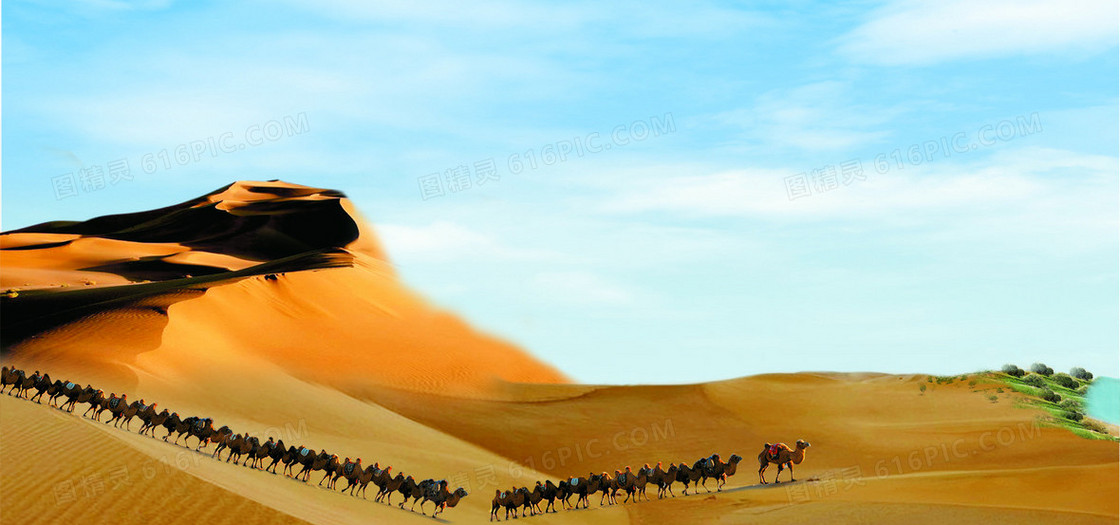 沙漠驼队背景